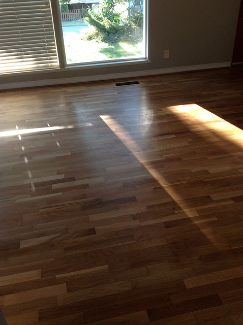 Fix Scratches On Your Hardwood Floors, How To Fix Dog Nail Scratches In Hardwood Floors